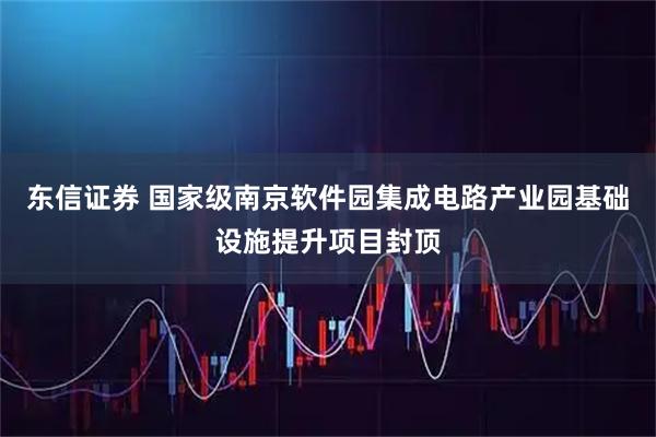 东信证券 国家级南京软件园集成电路产业园基础设施提升项目封顶