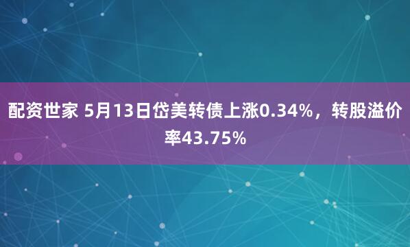 配资世家 5月13日岱美转债上涨0.34%，转股溢价率43.75%